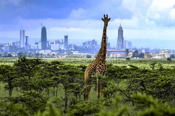 Nairobi Excursion — photo 3