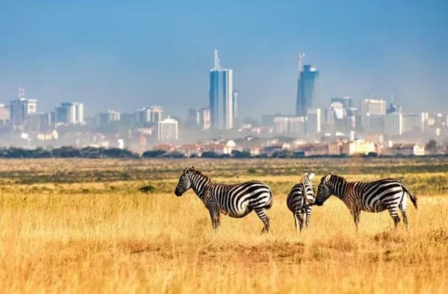 Nairobi Excursion — photo 1