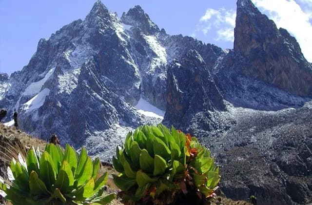 Mount Kenya Climbing — photo 1