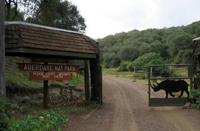 Aberdare National Park — photo 3