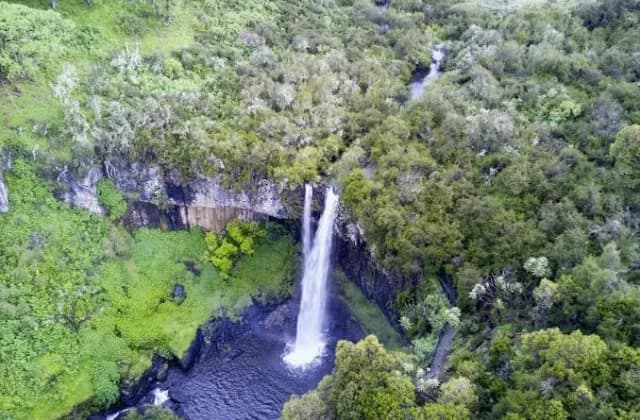 Aberdare National Park — photo 4