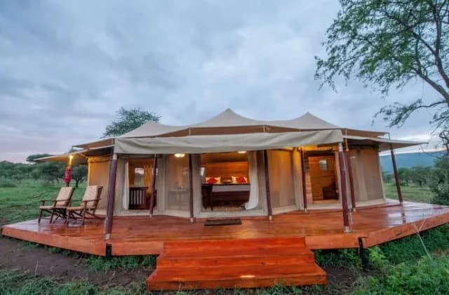Acacia Seronera Luxury Camp — photo 5