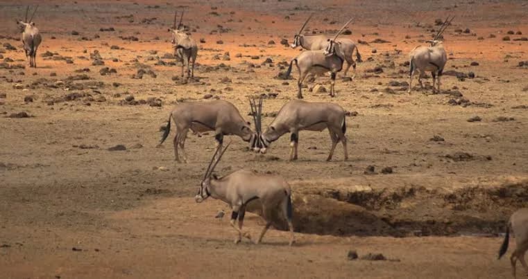 Tsavo East National Park — photo 3