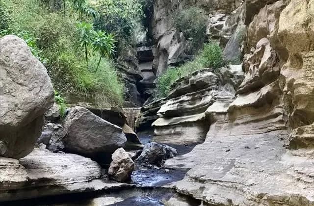 Hell’s Gate National Park safari — photo 4