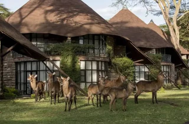 Lake Naivasha safari — photo 3