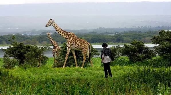 Lake Naivasha safari — photo 4
