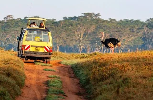 Lake Nakuru National Park — photo 5
