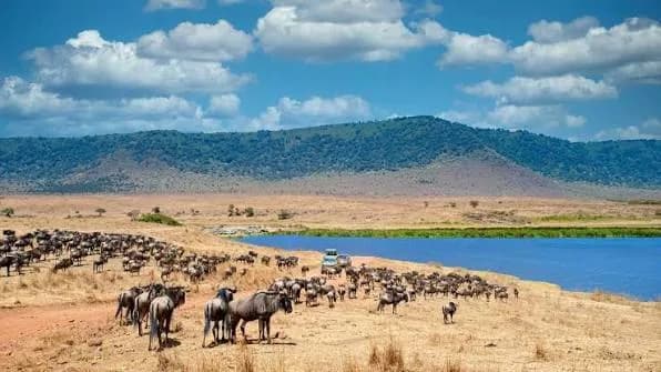 Ngorongoro Crater — photo 5