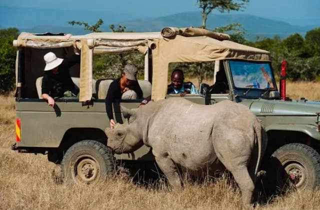 Ol Pejeta Conservancy — photo 5