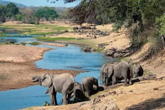 Ruaha National Park — photo 6