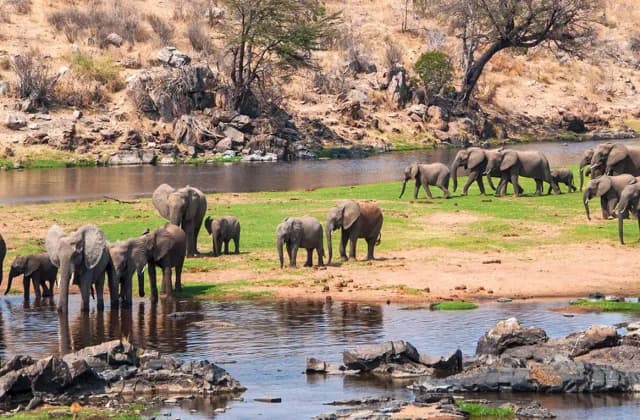 Ruaha National Park — photo 1