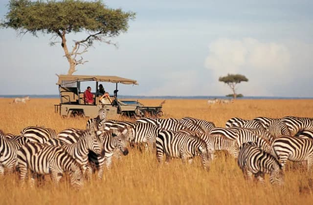 Samburu National Reserve — photo 1
