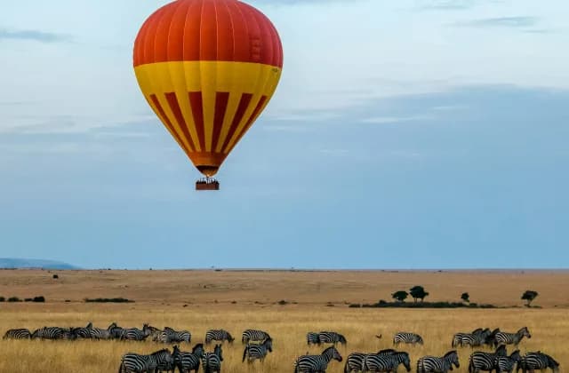 Serengeti National Park — photo 1