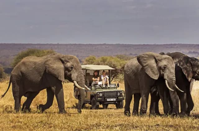 Tarangire National Park — photo 1