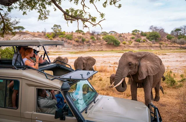 Best-Safari-Companies-in-Kenya-for-International-Travelers.jpg